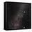 Canis Major Constellation-Eckhard Slawik-Framed Premier Image Canvas