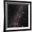 Canis Major Constellation-Eckhard Slawik-Framed Photographic Print