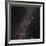 Canis Major Constellation-Eckhard Slawik-Framed Photographic Print