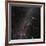 Canis Major Constellation-Eckhard Slawik-Framed Photographic Print