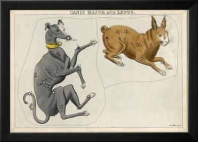 Paintings Drawing Star Map Canis Major Hare Dog Constellation Framed Art Print