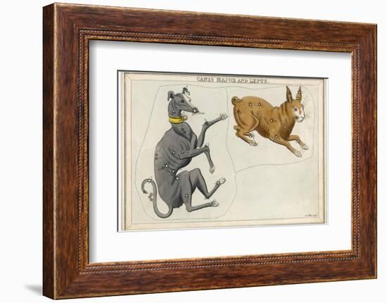 Canis Major (Dog) and Lepus (Hare) Constellation-Sidney Hall-Framed Photographic Print