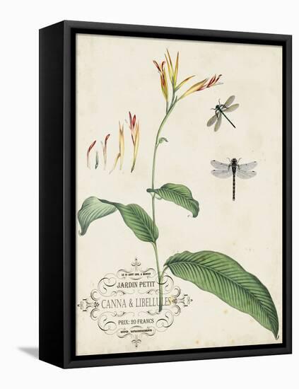 Canna and Dragonflies I-Vision Studio-Framed Stretched Canvas
