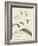 Canna and Dragonflies I-Vision Studio-Framed Art Print