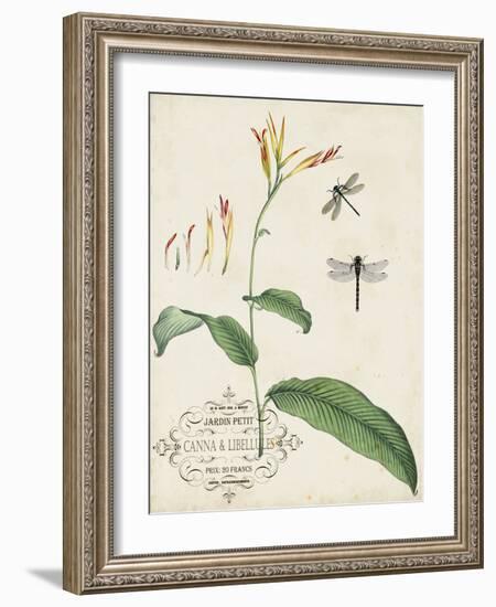 Canna and Dragonflies I-Vision Studio-Framed Art Print