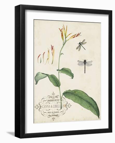 Canna and Dragonflies I-Vision Studio-Framed Art Print