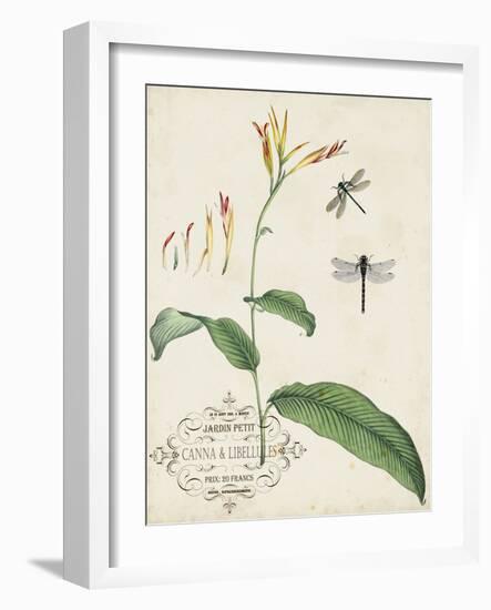 Canna and Dragonflies I-Vision Studio-Framed Art Print