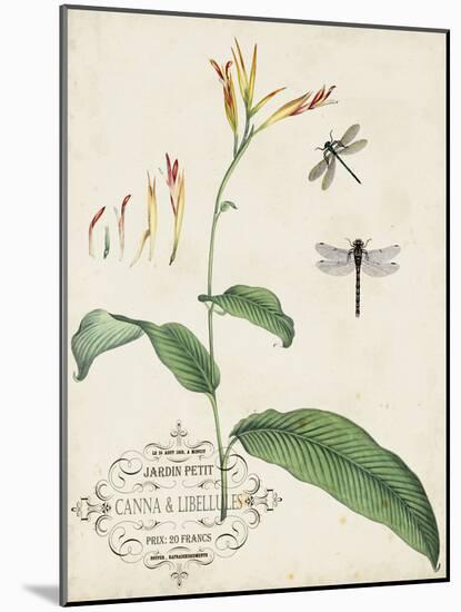 Canna and Dragonflies I-Vision Studio-Mounted Art Print