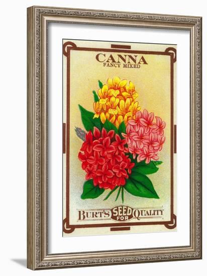 Canna Seed Packet-Lantern Press-Framed Art Print
