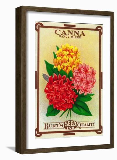 Canna Seed Packet-Lantern Press-Framed Art Print