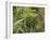 Cannabis (Cannabis Sativa) Bud Grown Locally by Villagers for Recreational Use, Pokhara, Nepal, Asi-Mark Chivers-Framed Photographic Print