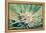 Cannabis Flowering-JanMika-Framed Premier Image Canvas