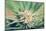 Cannabis Flowering-JanMika-Mounted Photographic Print