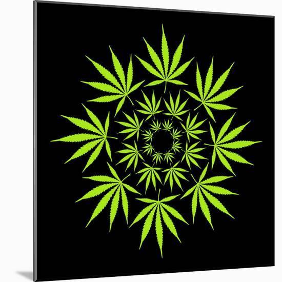 Cannabis Leaves-David Nicholls-Mounted Premium Photographic Print