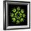 Cannabis Leaves-David Nicholls-Framed Premium Photographic Print