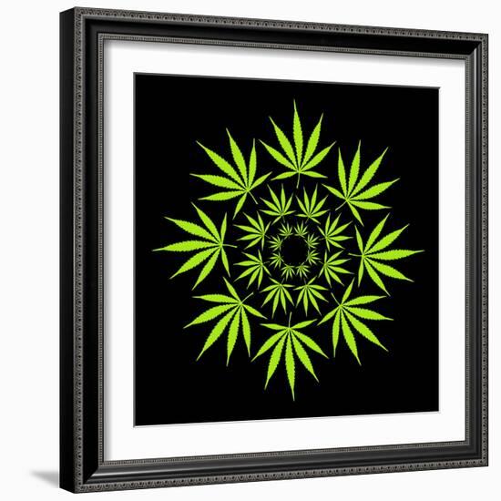 Cannabis Leaves-David Nicholls-Framed Premium Photographic Print