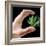 Cannabis Research-Victor De Schwanberg-Framed Premium Photographic Print