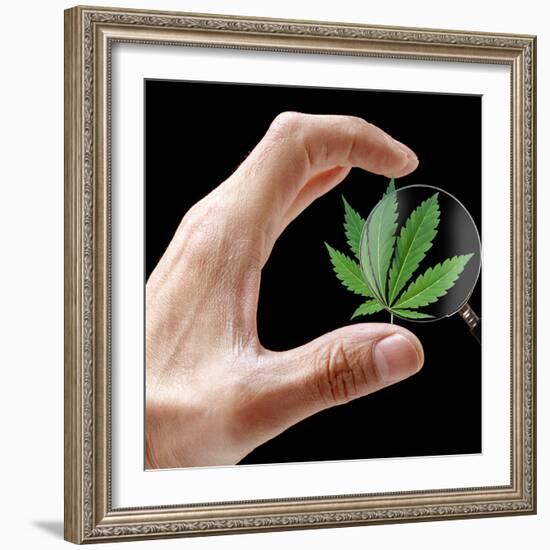 Cannabis Research-Victor De Schwanberg-Framed Premium Photographic Print