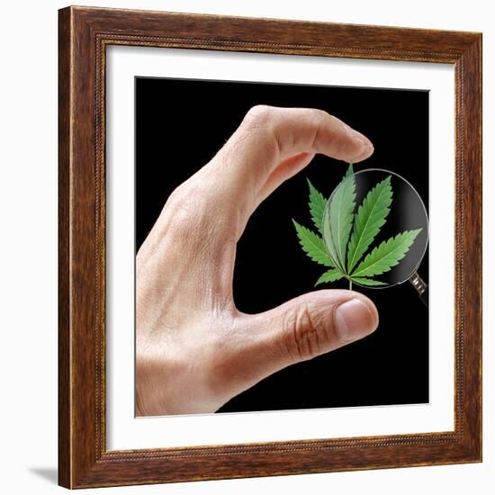 Cannabis Research-Victor De Schwanberg-Framed Premium Photographic Print