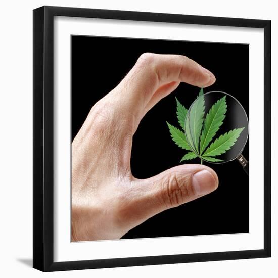 Cannabis Research-Victor De Schwanberg-Framed Premium Photographic Print