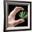 Cannabis Research-Victor De Schwanberg-Framed Premium Photographic Print