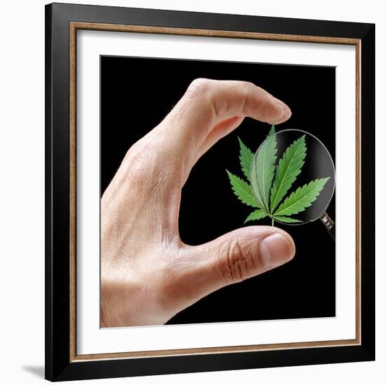 Cannabis Research-Victor De Schwanberg-Framed Premium Photographic Print