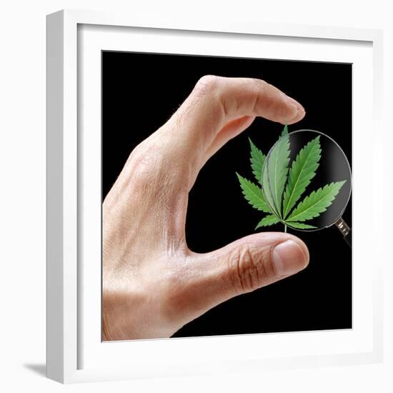 Cannabis Research-Victor De Schwanberg-Framed Premium Photographic Print