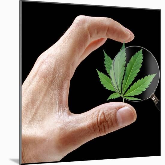 Cannabis Research-Victor De Schwanberg-Mounted Premium Photographic Print