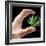 Cannabis Research-Victor De Schwanberg-Framed Premium Photographic Print