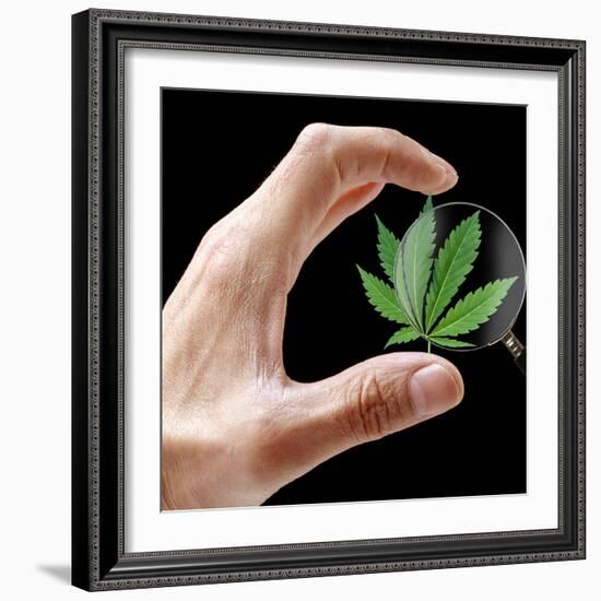 Cannabis Research-Victor De Schwanberg-Framed Premium Photographic Print