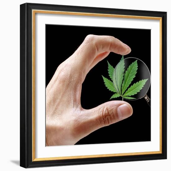 Cannabis Research-Victor De Schwanberg-Framed Premium Photographic Print