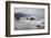 Cannon Beach and Haystack Rock, Crescent Beach, Ecola State Park, Oregon, USA-Jamie & Judy Wild-Framed Photographic Print