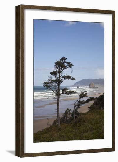 Cannon Beach and Haystack Rock, Oregon, USA-Jamie & Judy Wild-Framed Photographic Print