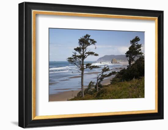 Cannon Beach and Haystack Rock, Oregon, USA-Jamie & Judy Wild-Framed Photographic Print