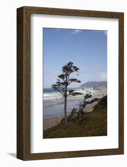 Cannon Beach and Haystack Rock, Oregon, USA-Jamie & Judy Wild-Framed Photographic Print