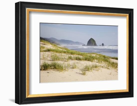 Cannon Beach and Haystack Rock, Oregon, USA-Jamie & Judy Wild-Framed Photographic Print