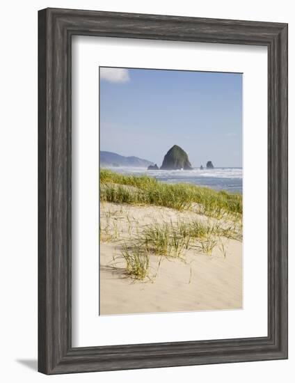 Cannon Beach and Haystack Rock, Oregon, USA-Jamie & Judy Wild-Framed Photographic Print