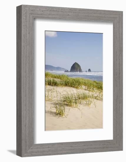 Cannon Beach and Haystack Rock, Oregon, USA-Jamie & Judy Wild-Framed Photographic Print