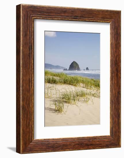 Cannon Beach and Haystack Rock, Oregon, USA-Jamie & Judy Wild-Framed Photographic Print