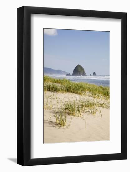 Cannon Beach and Haystack Rock, Oregon, USA-Jamie & Judy Wild-Framed Photographic Print