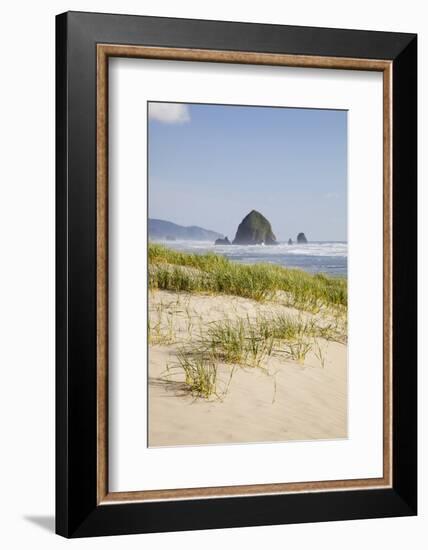 Cannon Beach and Haystack Rock, Oregon, USA-Jamie & Judy Wild-Framed Photographic Print