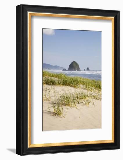 Cannon Beach and Haystack Rock, Oregon, USA-Jamie & Judy Wild-Framed Photographic Print