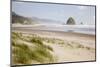 Cannon Beach and Haystack Rock, Oregon, USA-Jamie & Judy Wild-Mounted Photographic Print