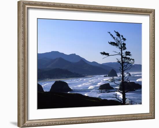 Cannon Beach from Ecola State Park, Oregon, USA-Janell Davidson-Framed Photographic Print