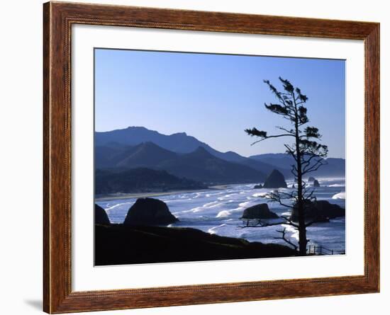 Cannon Beach from Ecola State Park, Oregon, USA-Janell Davidson-Framed Photographic Print