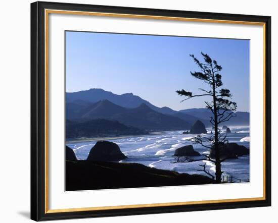 Cannon Beach from Ecola State Park, Oregon, USA-Janell Davidson-Framed Photographic Print