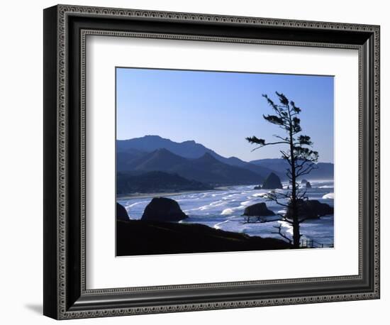 Cannon Beach from Ecola State Park, Oregon, USA-Janell Davidson-Framed Photographic Print