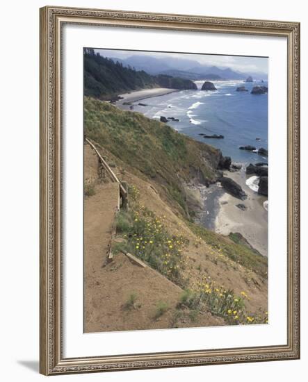 Cannon Beach, Lewis and Clark Trail, Ecola State Park, Oregon, USA-Connie Ricca-Framed Photographic Print