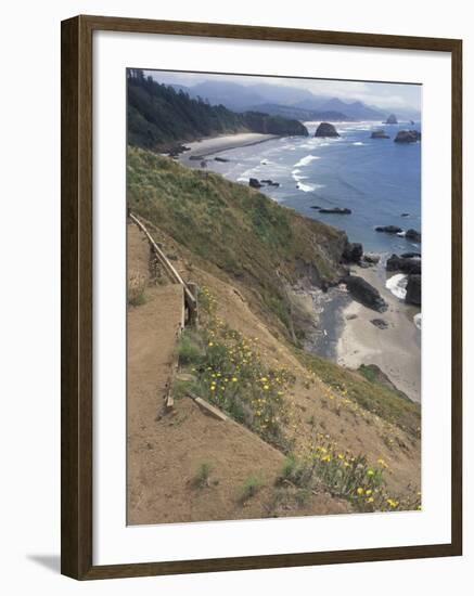 Cannon Beach, Lewis and Clark Trail, Ecola State Park, Oregon, USA-Connie Ricca-Framed Photographic Print