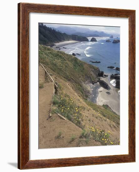 Cannon Beach, Lewis and Clark Trail, Ecola State Park, Oregon, USA-Connie Ricca-Framed Photographic Print